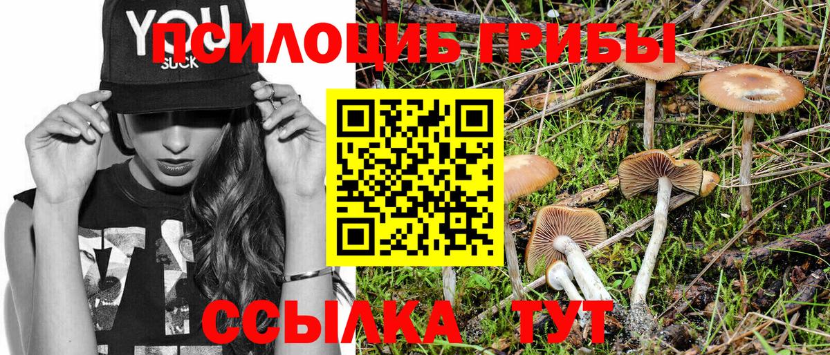 Галлюциногенные грибы MAGIC MUSHROOMS  Вход с VPN  Абакан 