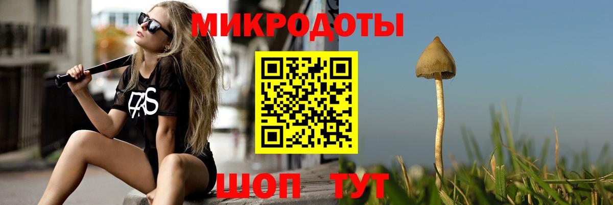 Галлюциногенные грибы Psilocybe Абакан